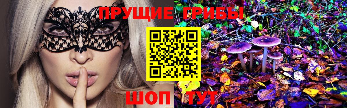 Псилоцибиновые грибы Psilocybe Янаул