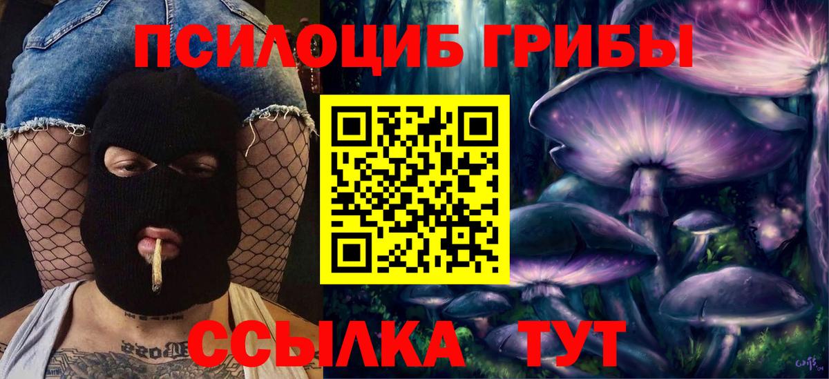 Псилоцибиновые грибы Psilocybe  Галлюциногенные грибы GOLDEN TEACHER  Вход с VPN  Янаул 